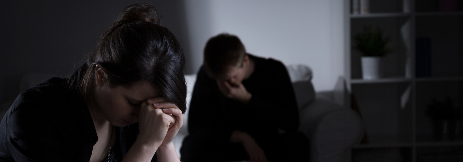 dreamstimemaximum_54022530